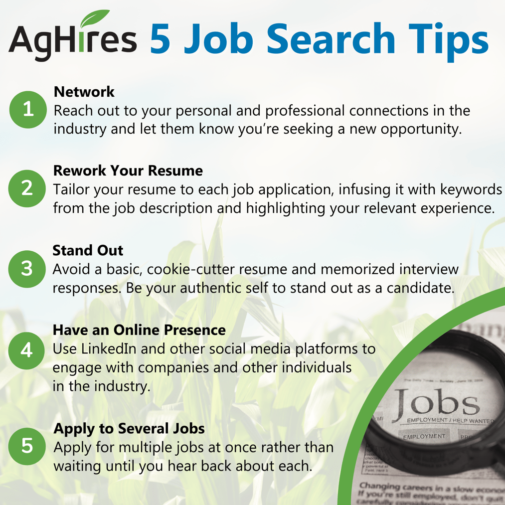 5 Job Search Tips to Help Find the Perfect Job
