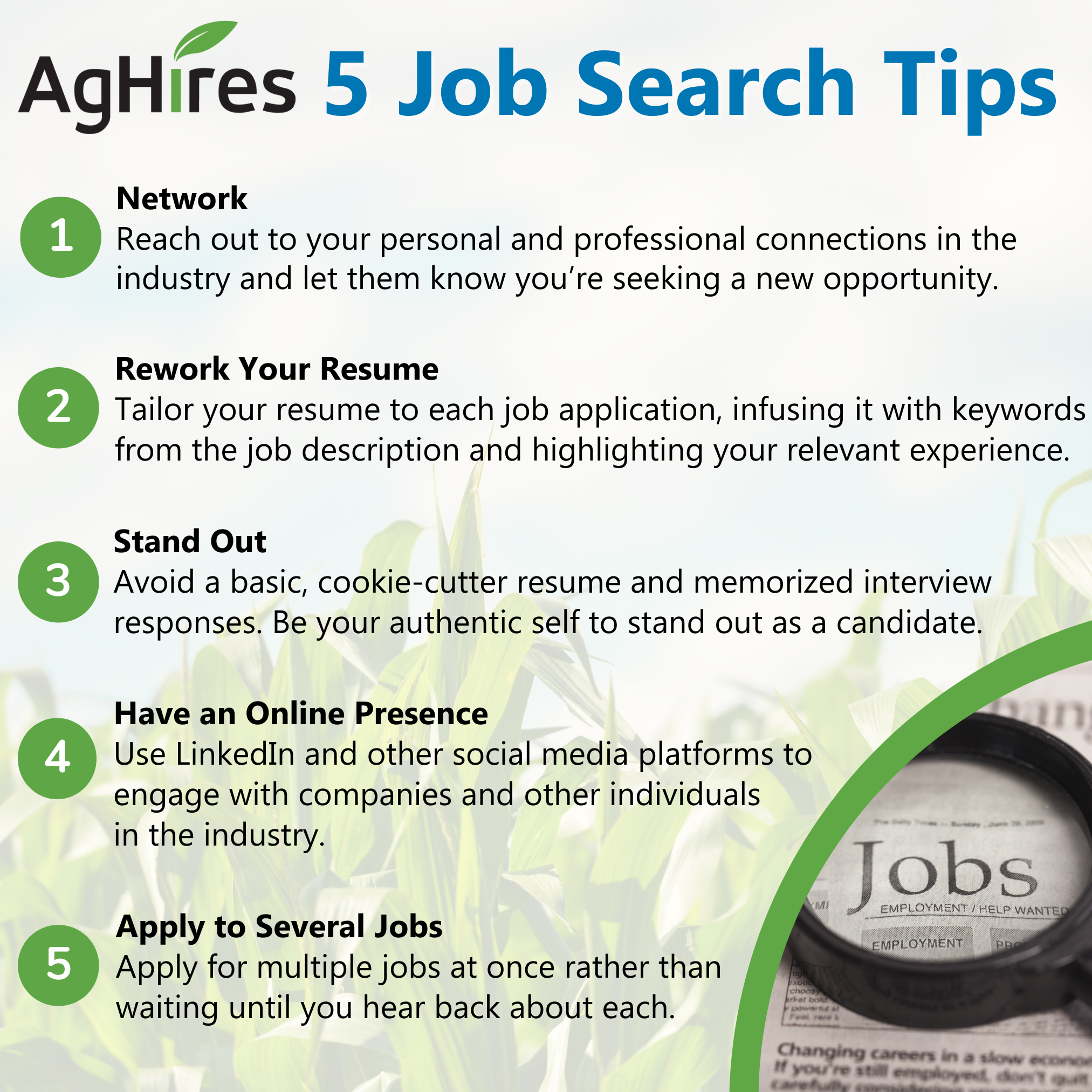 5 Job Search Tips