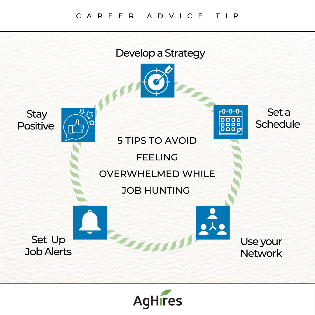 5 Tips to Avoid Feeling Overwhelmed While Job Hunting  (7)