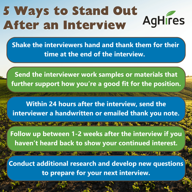 5 Ways to Stand Out  After an Interview