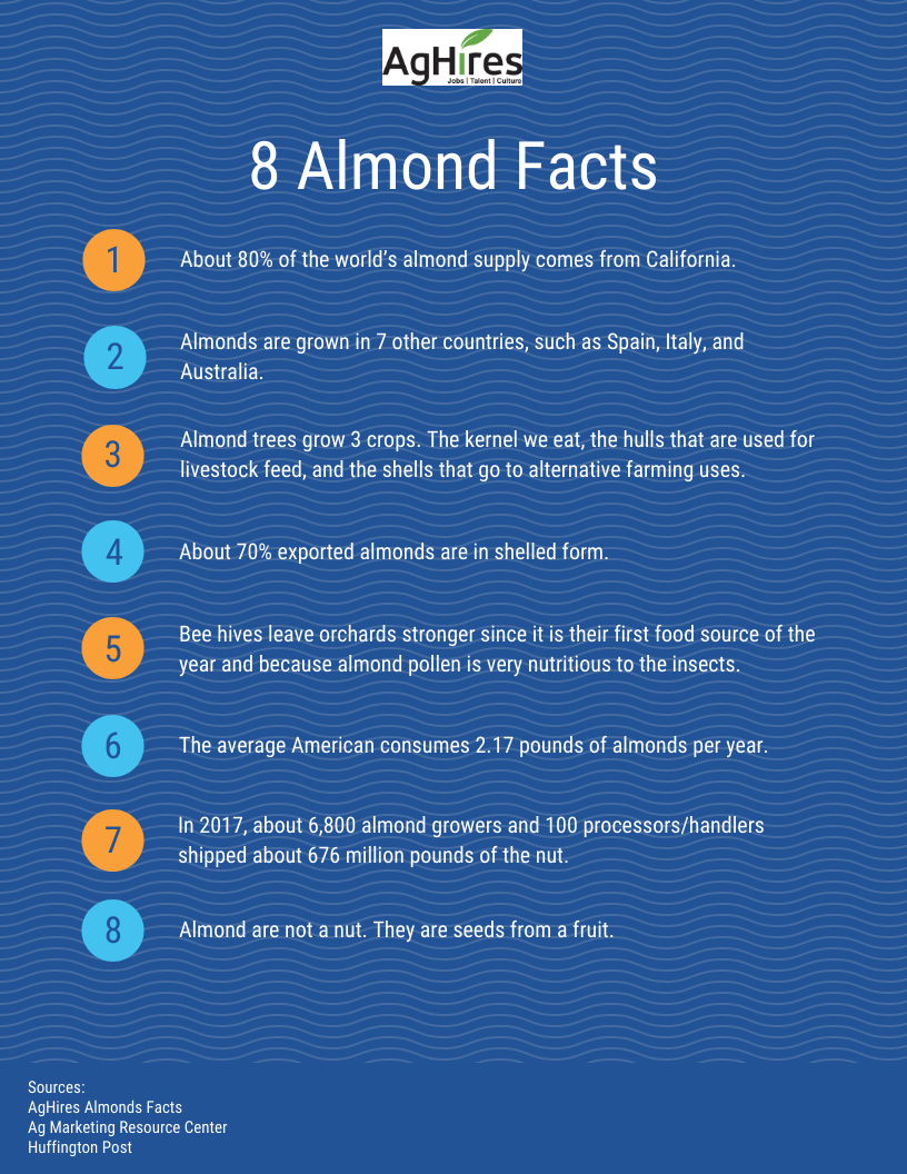 Almond