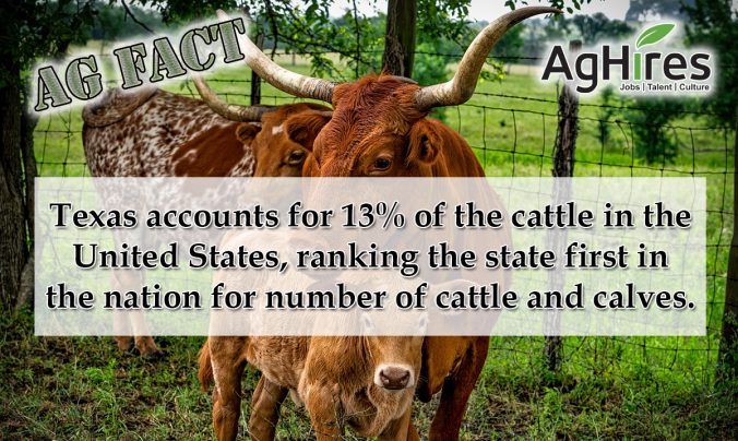Great Texas Ag Facts