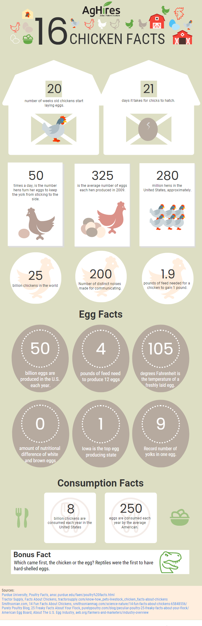 16 Chicken Facts