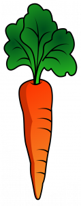 carrot-2985399_1920-e1517417463382-119x300