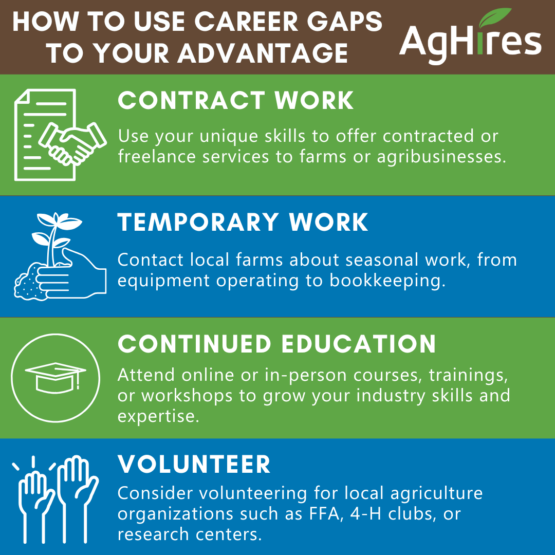 Career Gaps to your adventage