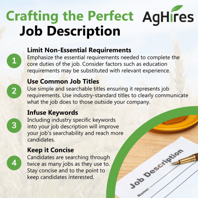 Crafting the Perfect Job Description Infographic (3)