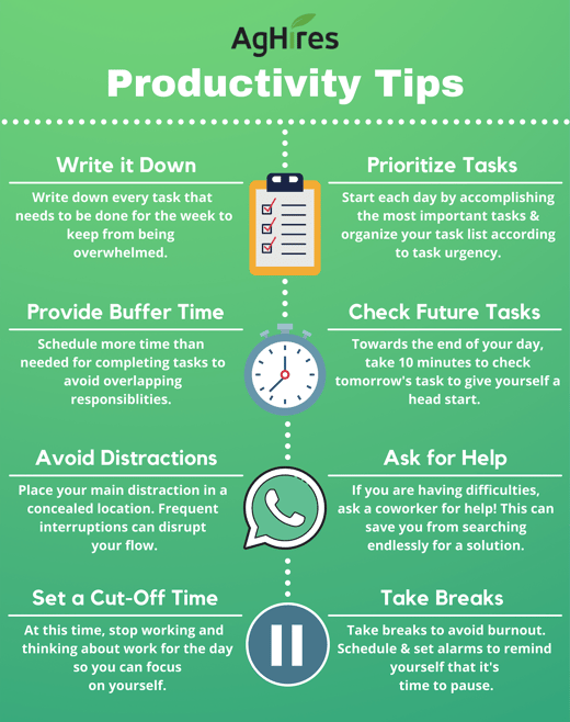 Eight Productivity Tips