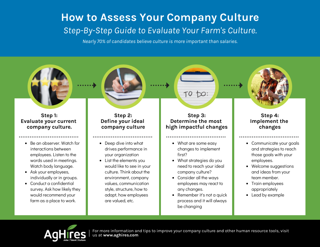 How To Assess Your Company Culture