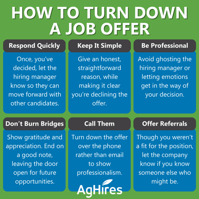 How to turn down a job offer infographic