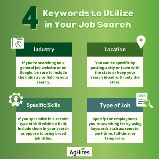 Keywords to Use in Your Job Search (1)