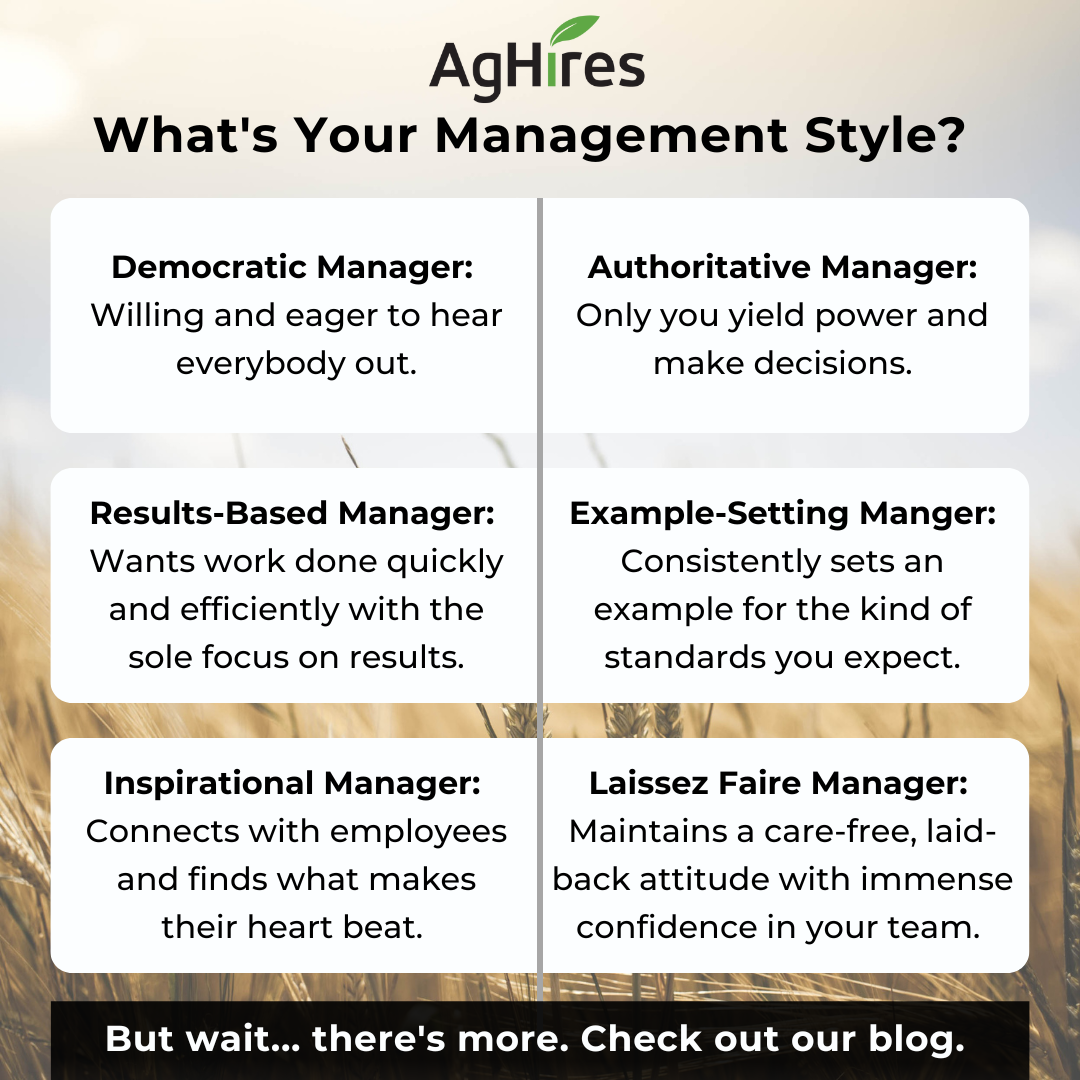 Management Style Graphic  (1)