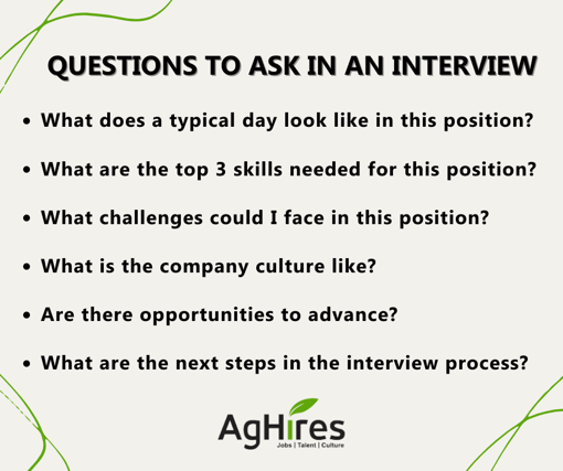 Questions to Ask During Interview Infographic
