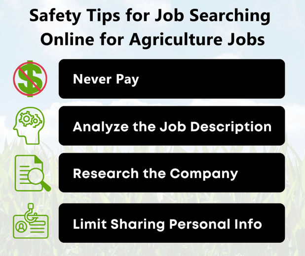 Safety tips for job searching online