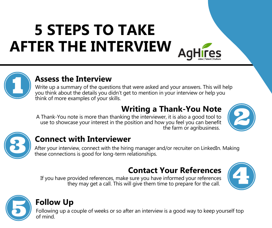Steps to take after an interview