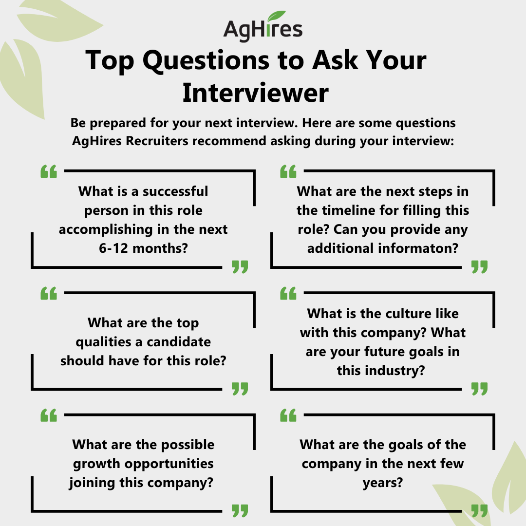 25 Questions to Ask at an Interview
