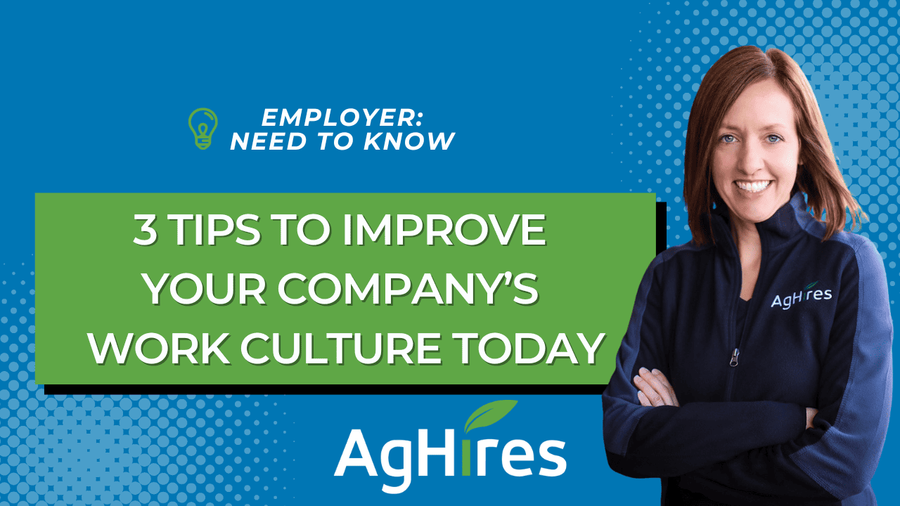 3 tips to improve your companys work culture