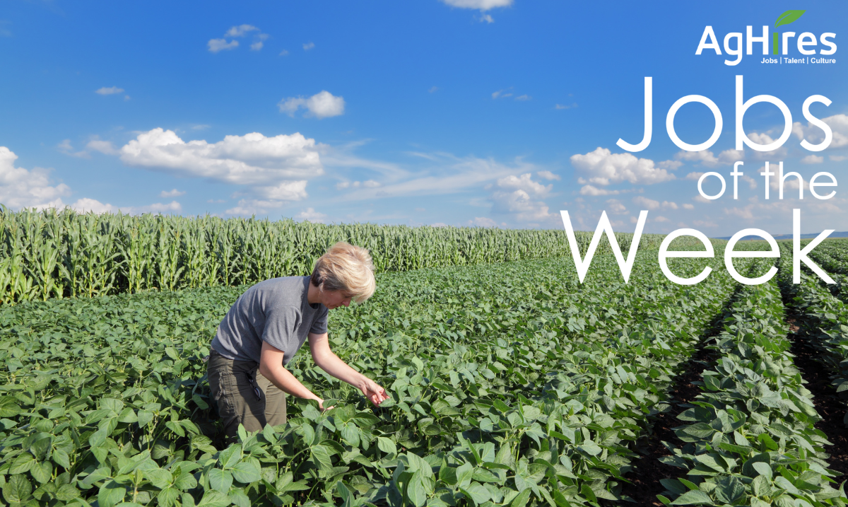 Agriculture jobs