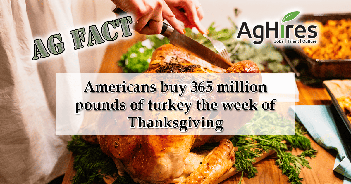 Thanksgiving Food Facts