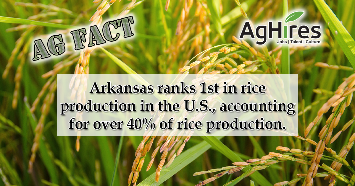 Arkansas Facts
