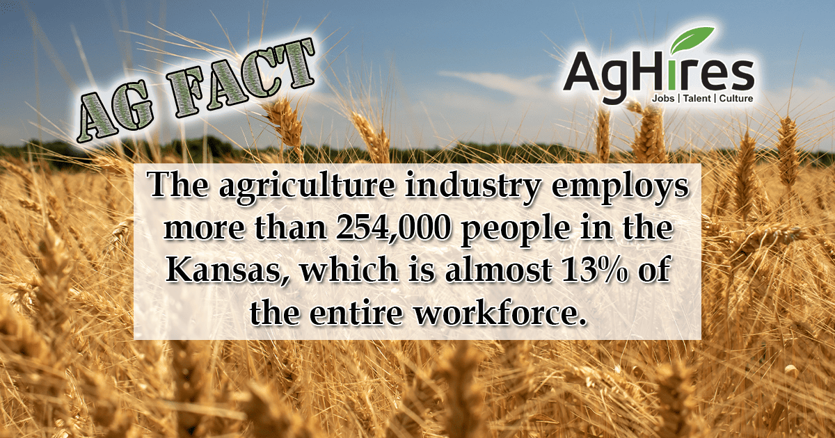 Kansas Ag Facts