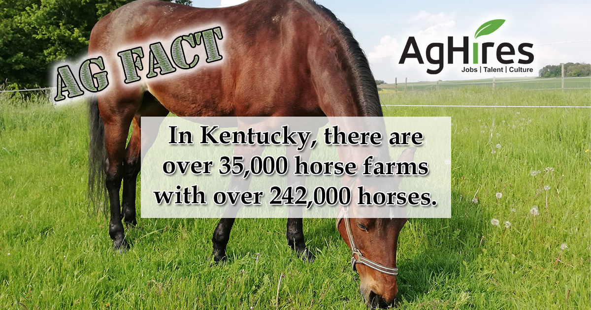 kentucky ag facts