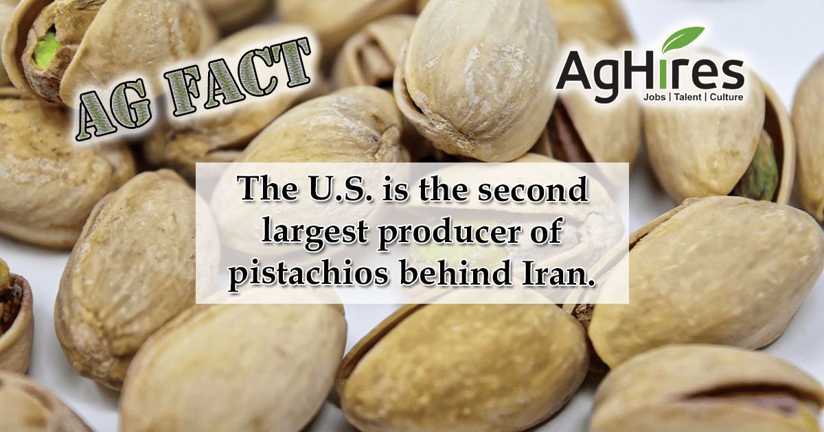 Ag-Fact Friday Pistachio