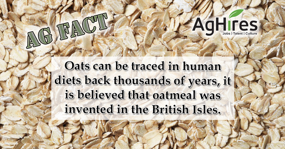 Oats