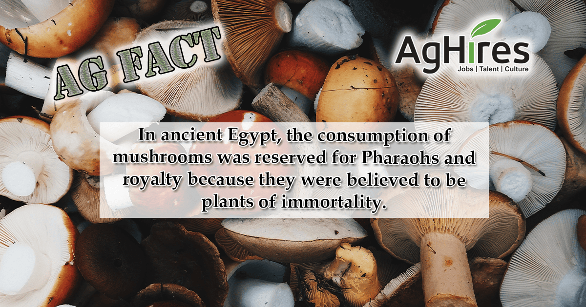 Mushroom Facts