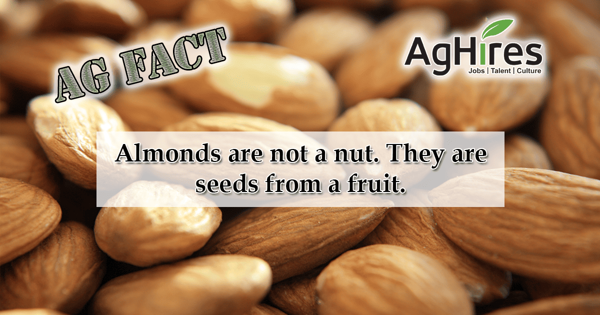 Ag-Fact Friday Almonds