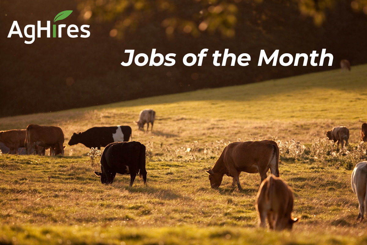 agriculture jobs of the month