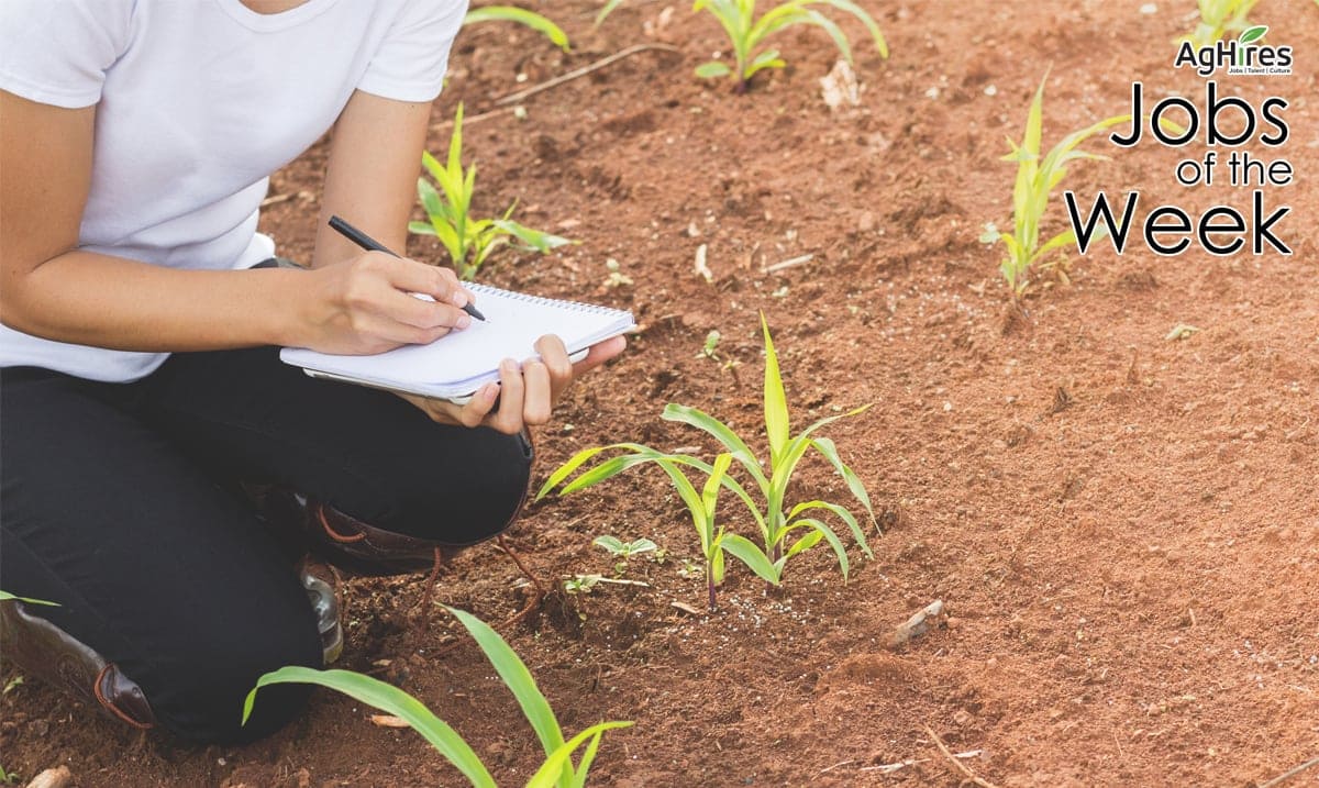 Agricultural Jobs 