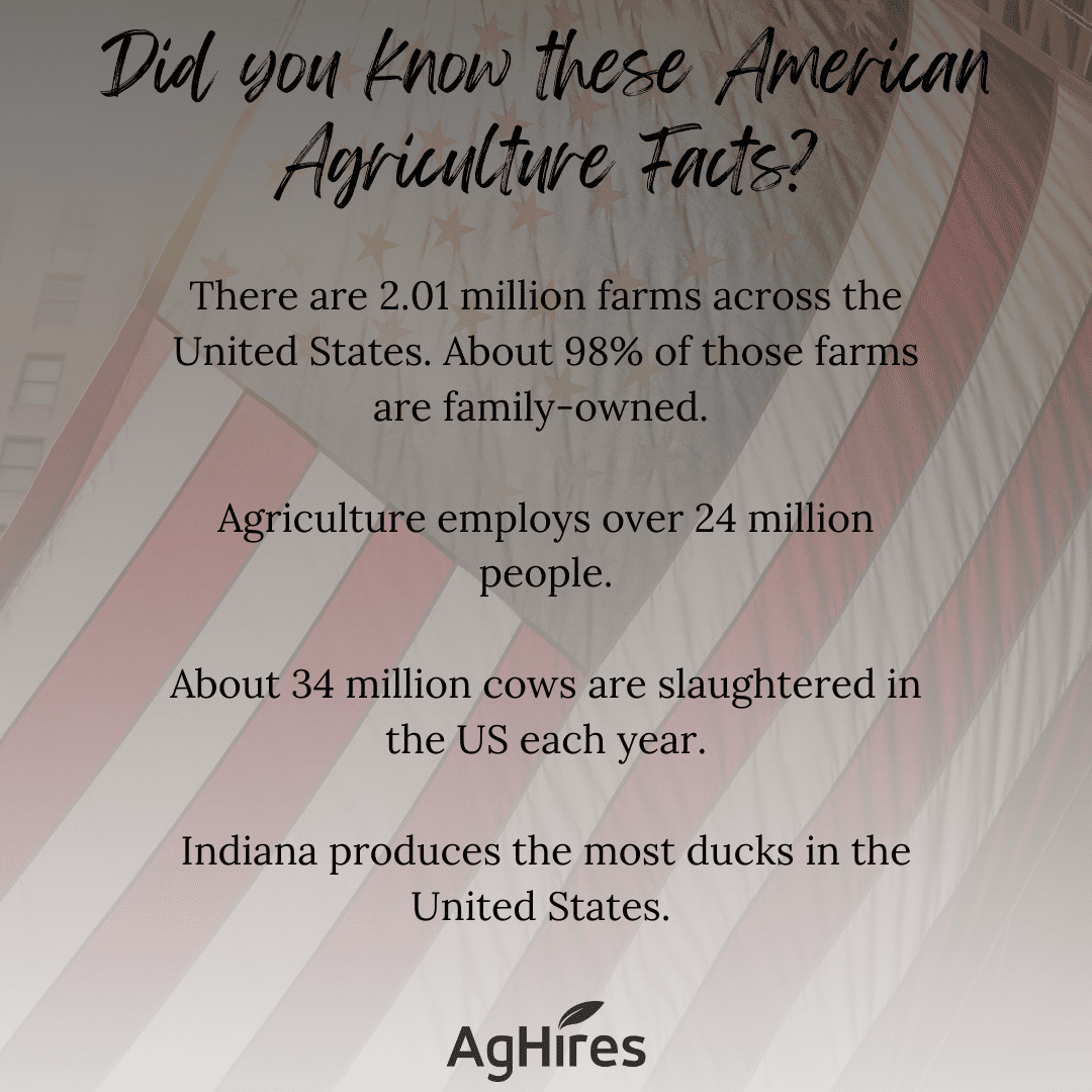 American Ag Facts