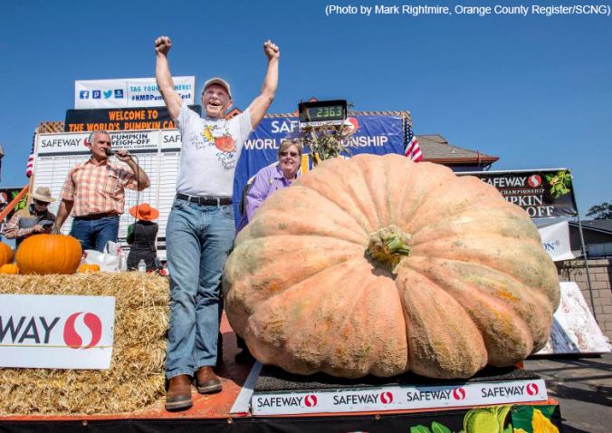 Largest Pumpkin