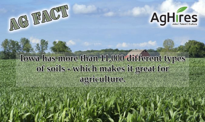 Iowa Ag Facts