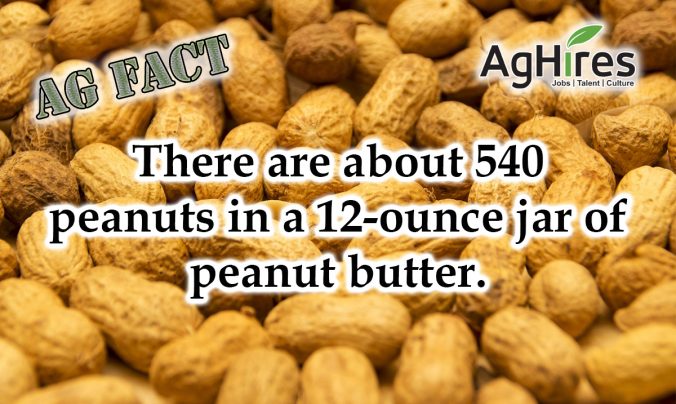 peanut butter tree benefits