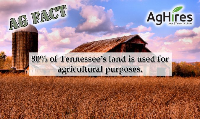 Tennessee Facts