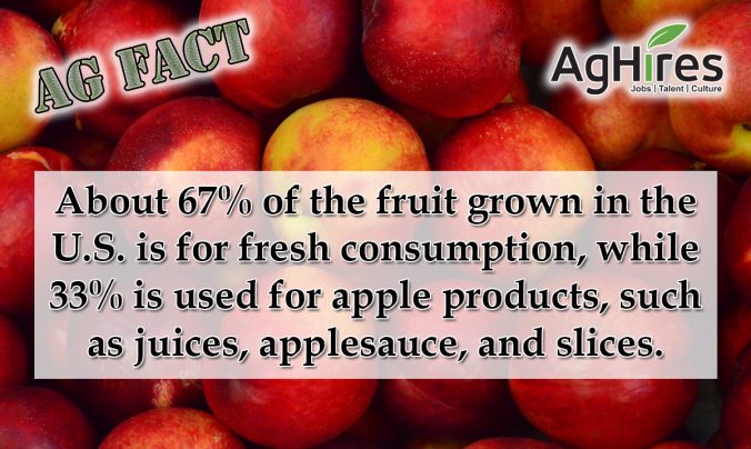 https://blog.aghires.com/hubfs/Blog%20Images2020/Ag-Fact-Friday_10-19-18_apple-676x404.jpg