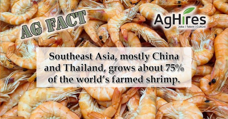 Aquaculture Facts