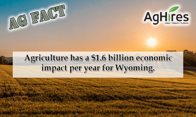 Wyoming agriculture