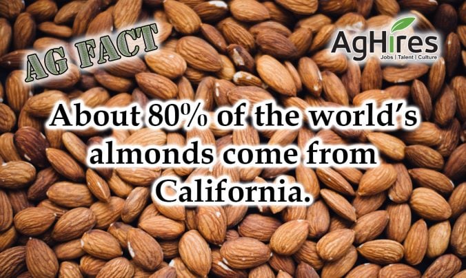 World’s Almonds