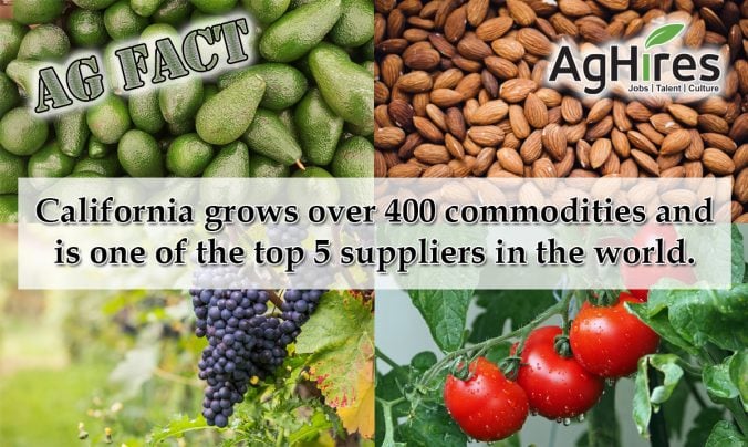 California Agricultural Facts