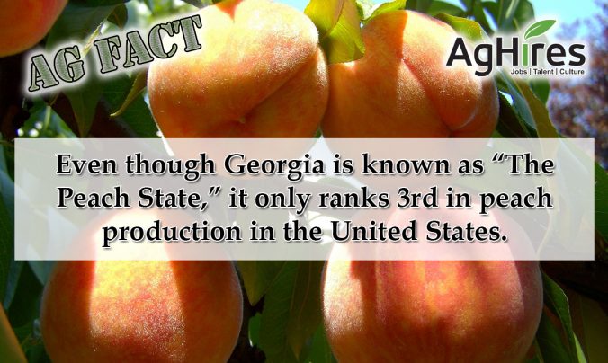 Georgia Ag Facts