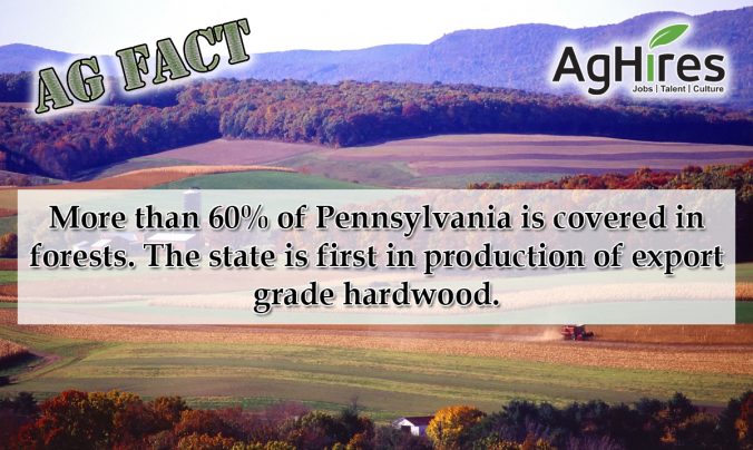 Pennsylvania Ag Facts