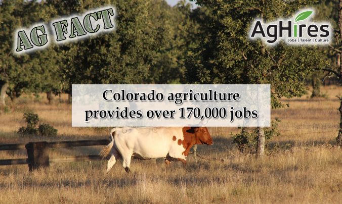 Colorado Agriculture