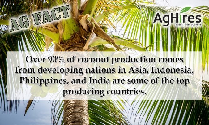 Coconut Ag Facts