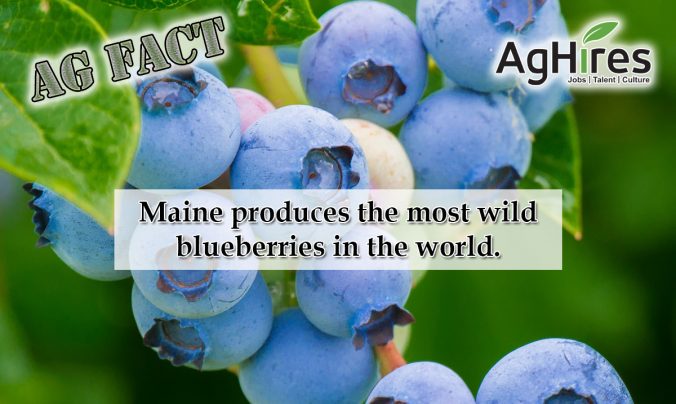 Maine Agriculture Facts