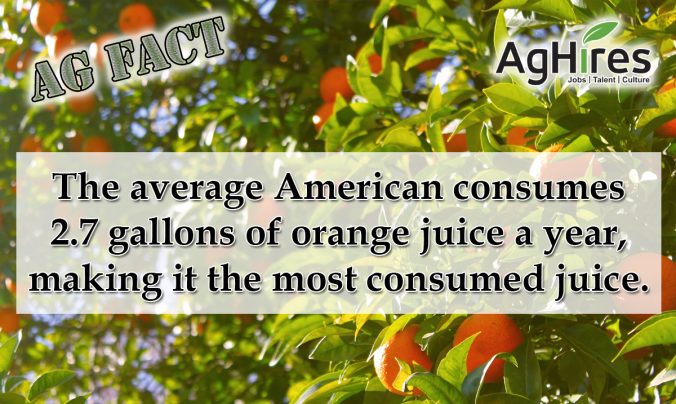 20 Facts About Oranges