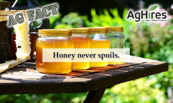 Honey Facts