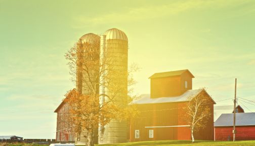 Barns Painted Red