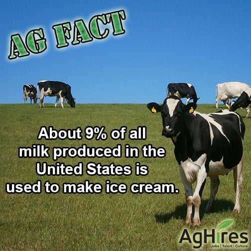 Milk Produced